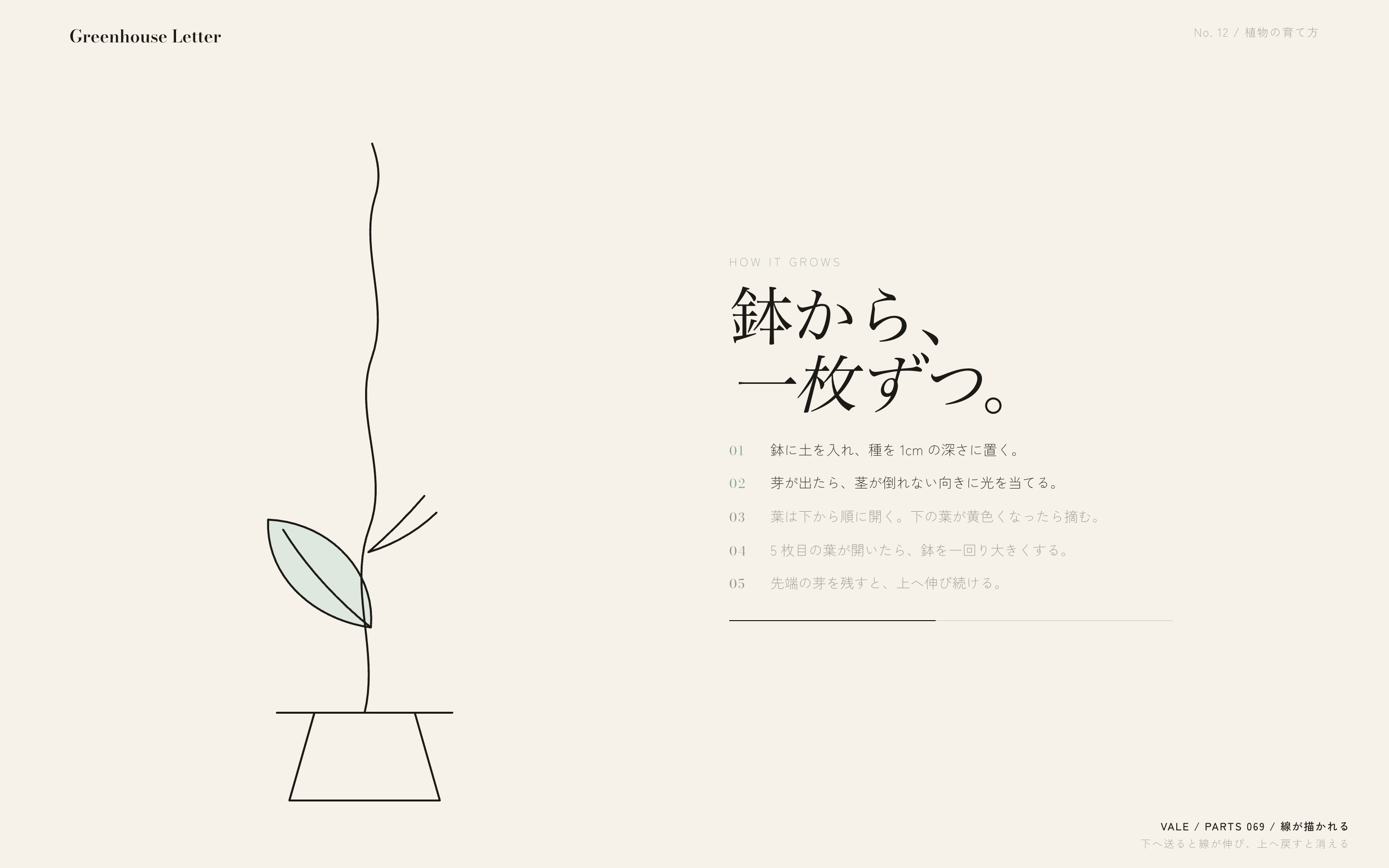 麻色の紙に、鉢から茎、葉へと一本の線がスクロールで描かれる様子