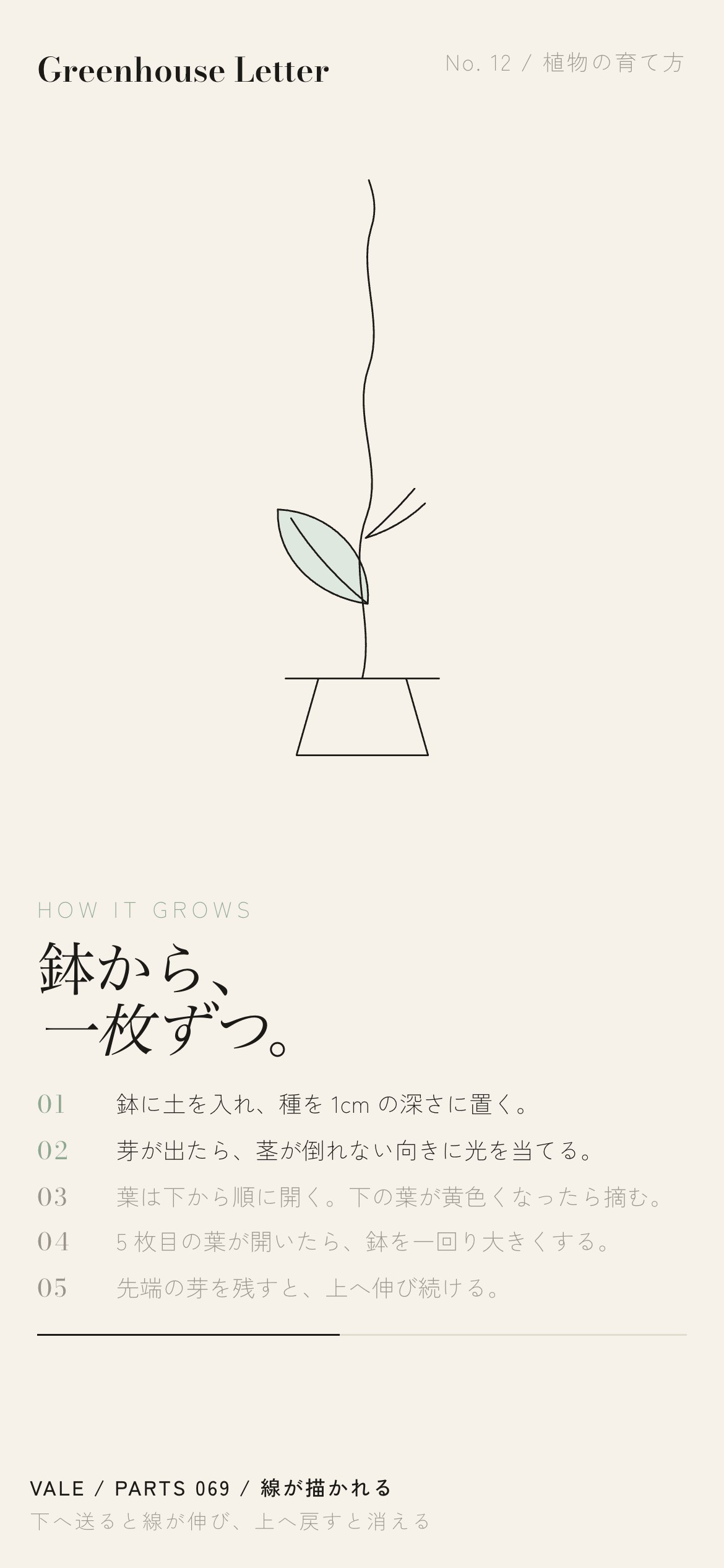 麻色の紙に、鉢から茎、葉へと一本の線がスクロールで描かれる様子
